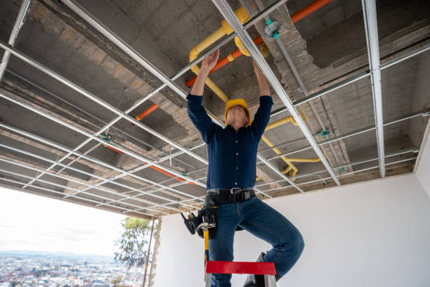 Best Plumbing Inspection Services  in Fillmore, UT